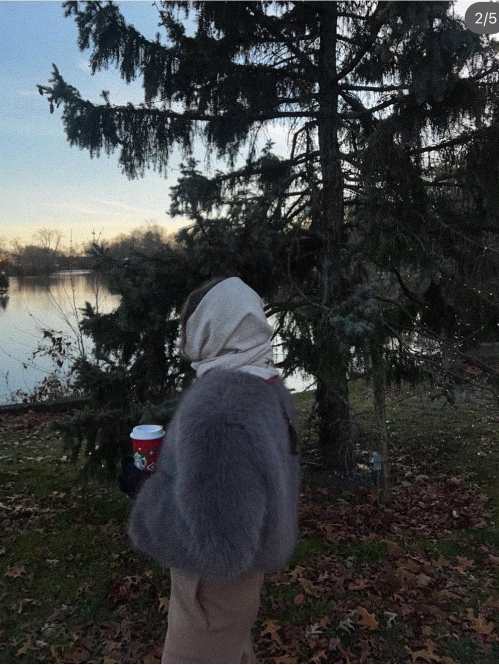 Zara Faux Fur Coat